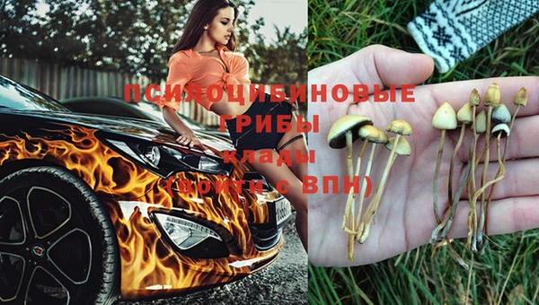 каннабис Алексеевка