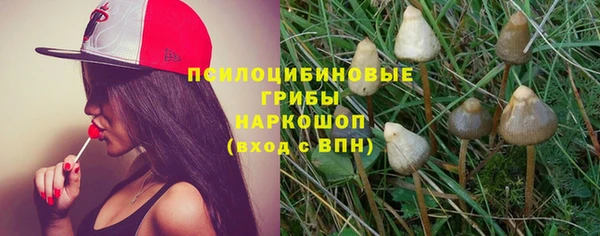 каннабис Алексеевка