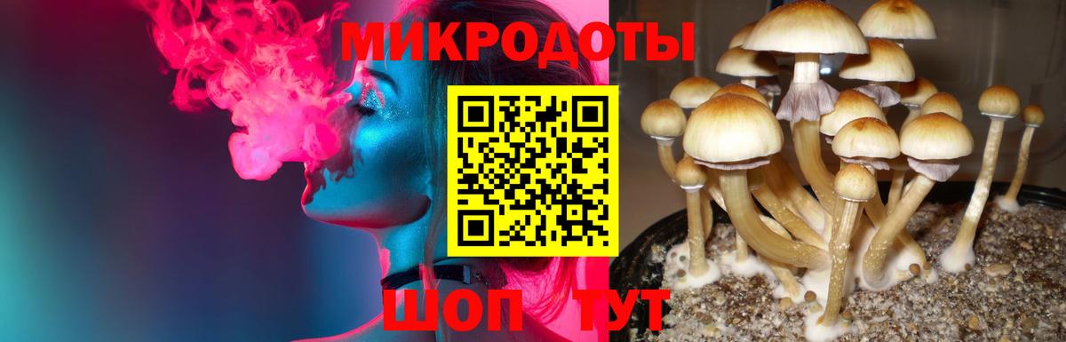 Псилоцибиновые грибы мухоморы  Галлюциногенные грибы Psilocybine cubensis  Беслан  Вход с VPN 